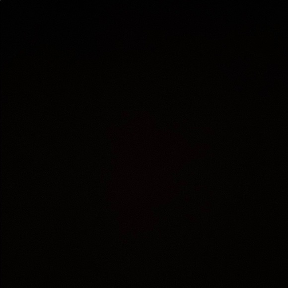 Meet your Posher, Nevaeh - Picture 1 of 1